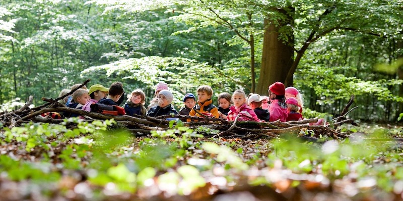 Ab in den Wald: LEADER-Region startet neues Themenjahr mit Waldpädagogik-Aktion